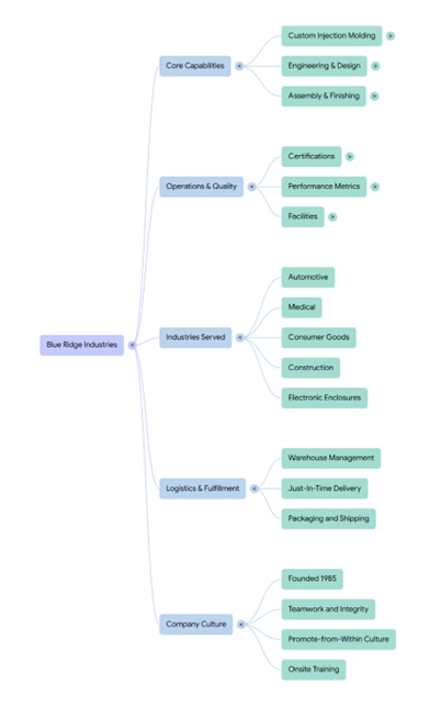 Google NotebookLM’s “Mindmap” of BRI based on three web sources. AI-generated content.