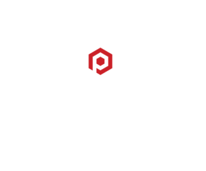 NPE2027 logo stacked
